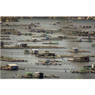 本世紀末，全球海平面預計上升0.3至1.1公尺。圖片來源／Vinh Nguyen on Unsplash.png